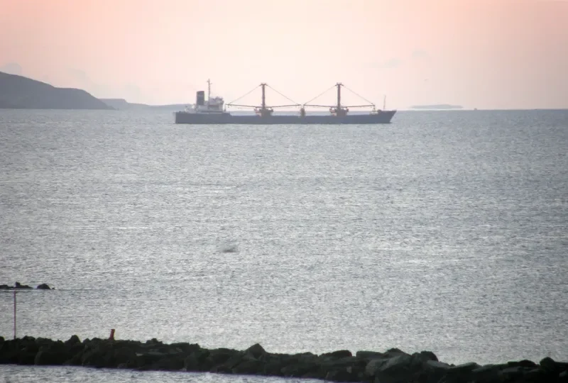 TAMREY Bulk Carrier IMO 7501261 photo 3