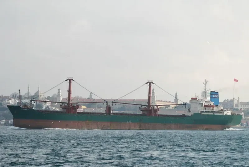 TAMREY Bulk Carrier IMO 7501261 photo 7