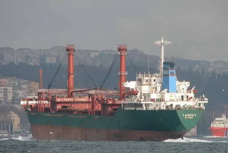 TAMREY Bulk Carrier IMO 7501261 photo 8