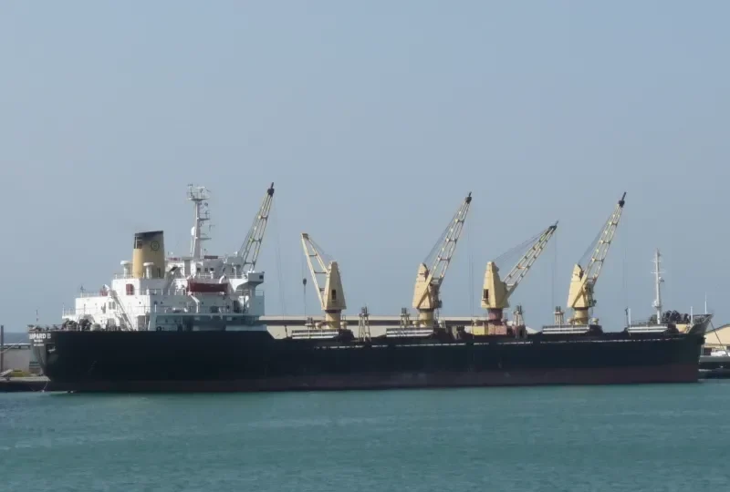 LEOPARD B Bulk Carrier IMO 7501326