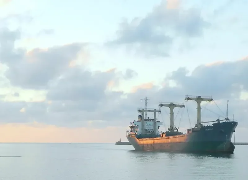 PALMYRA I Bulk Carrier IMO 7501819