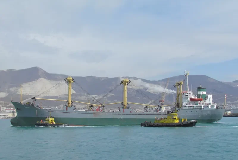PALMYRA I Bulk Carrier IMO 7501819 photo 4
