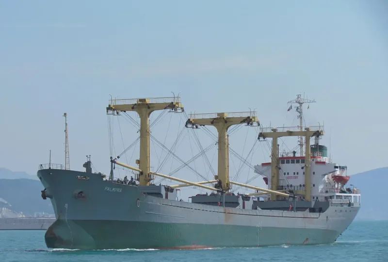 PALMYRA I Bulk Carrier IMO 7501819 photo 5