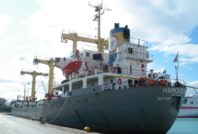 HAMOUDI F Bulk Carrier IMO 7501869