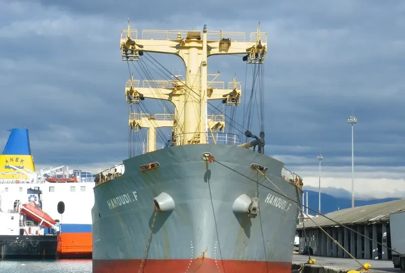 HAMOUDI F Bulk Carrier IMO 7501869 photo 2