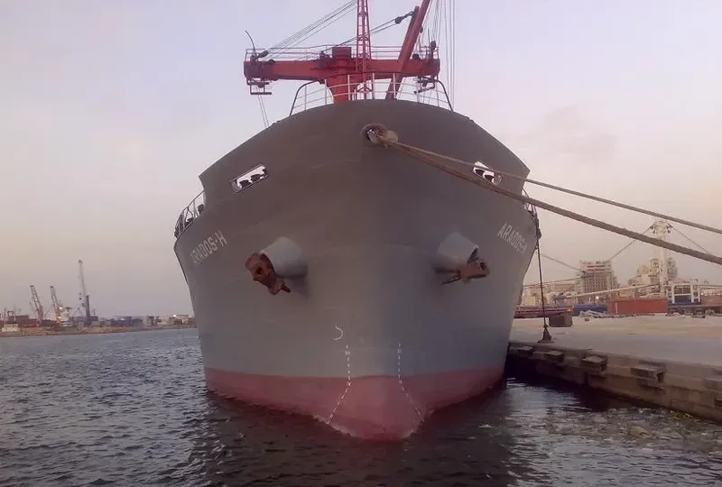 SEA BREEZE Bulk Carrier IMO 7501871 photo 5