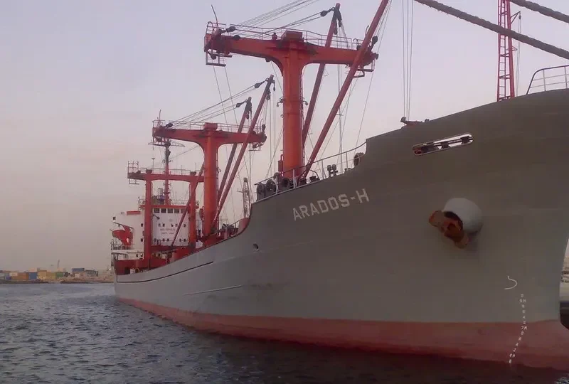 SEA BREEZE Bulk Carrier IMO 7501871 photo 7