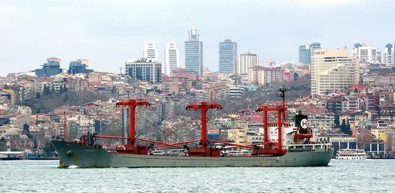 SEA BREEZE Bulk Carrier IMO 7501871 photo 9