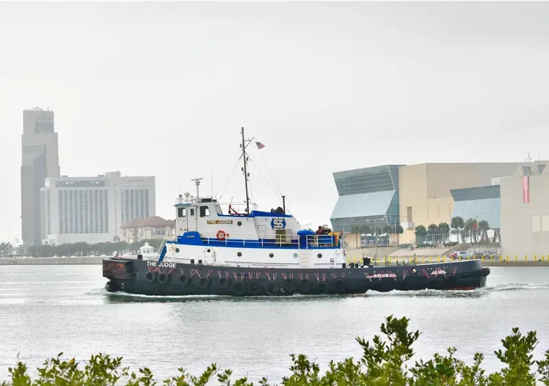 THE JUDGE General Cargo IMO 7502370