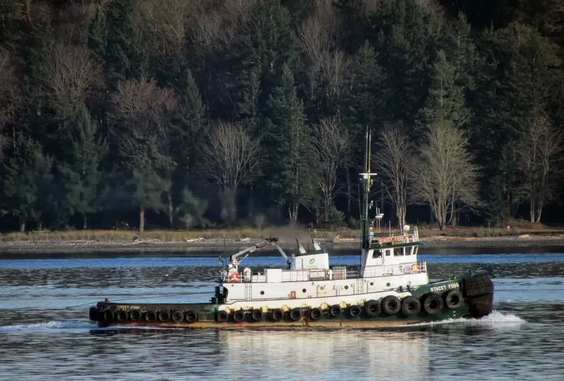 STACEY FOSS General Cargo IMO 7502564 photo 7