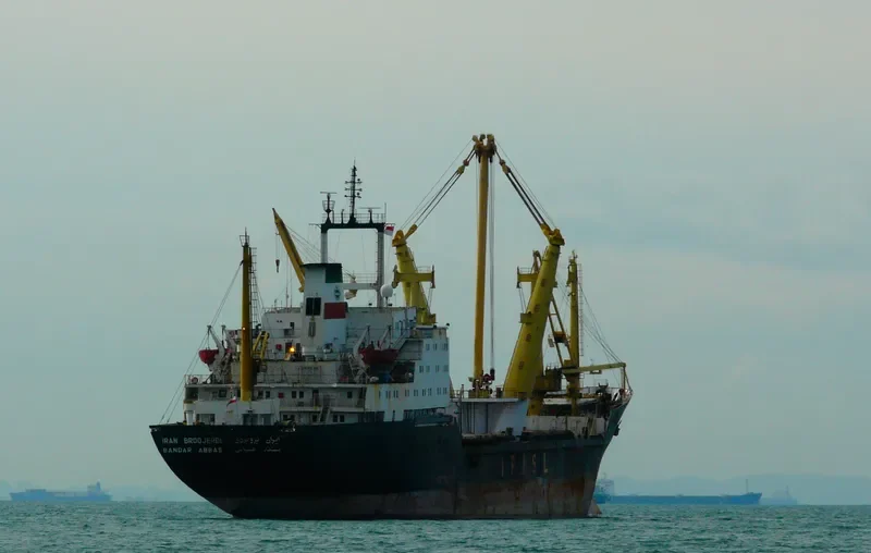 DINNA General Cargo IMO 7502722