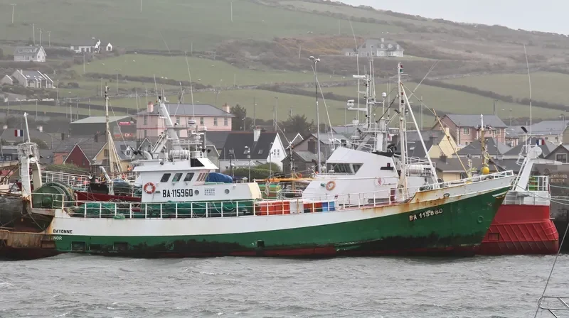 ELSINOR General Cargo IMO 7503001 photo 8