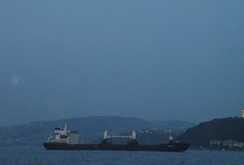 NORDEN Bulk Carrier IMO 7503518