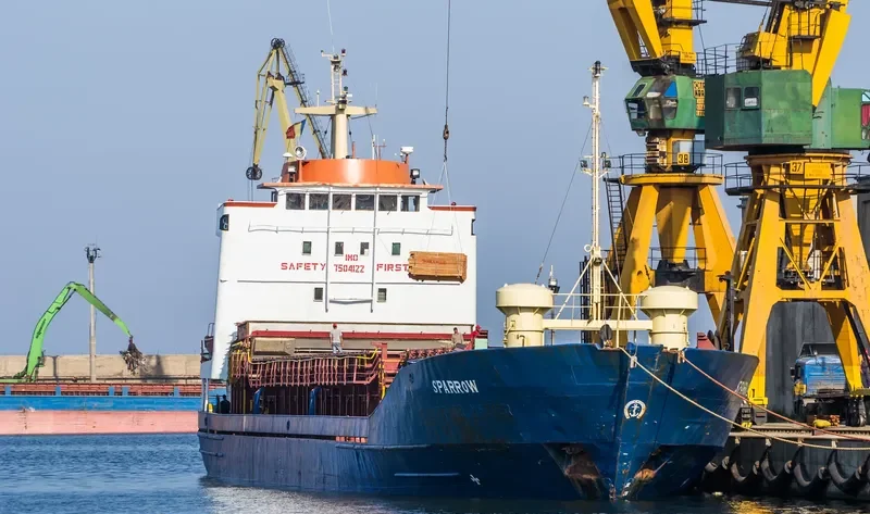 NEW MOON General Cargo IMO 7504122 photo 7