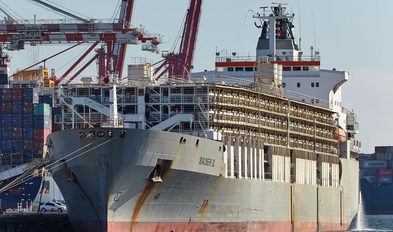 BADER III General Cargo IMO 7504598