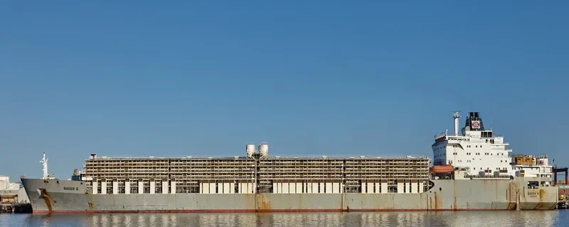 BADER III General Cargo IMO 7504598 photo 2