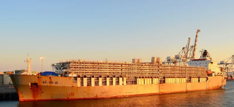 BADER III General Cargo IMO 7504598 photo 3