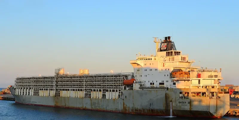 BADER III General Cargo IMO 7504598 photo 4