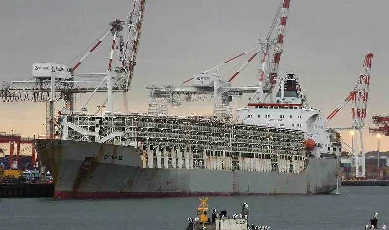BADER III General Cargo IMO 7504598 photo 6