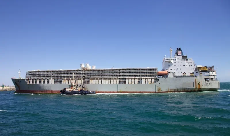 BADER III General Cargo IMO 7504598 photo 8