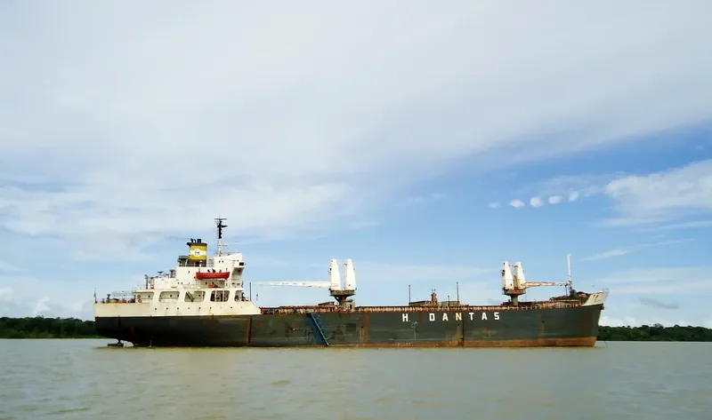 SAO SEBASTIAO Bulk Carrier IMO 7505188 photo 3