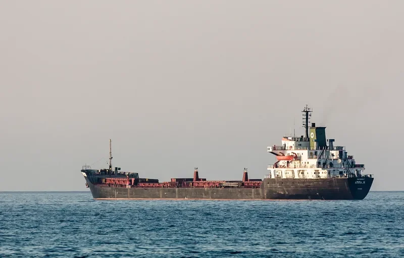 AMINA H Bulk Carrier IMO 7505217 photo 3