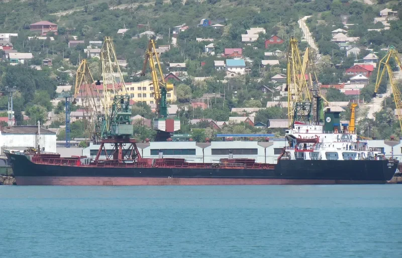 AMINA H Bulk Carrier IMO 7505217 photo 7