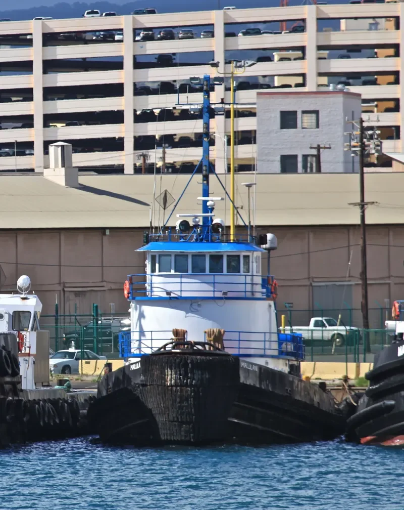 MALULANI General Cargo IMO 7505877 photo 5