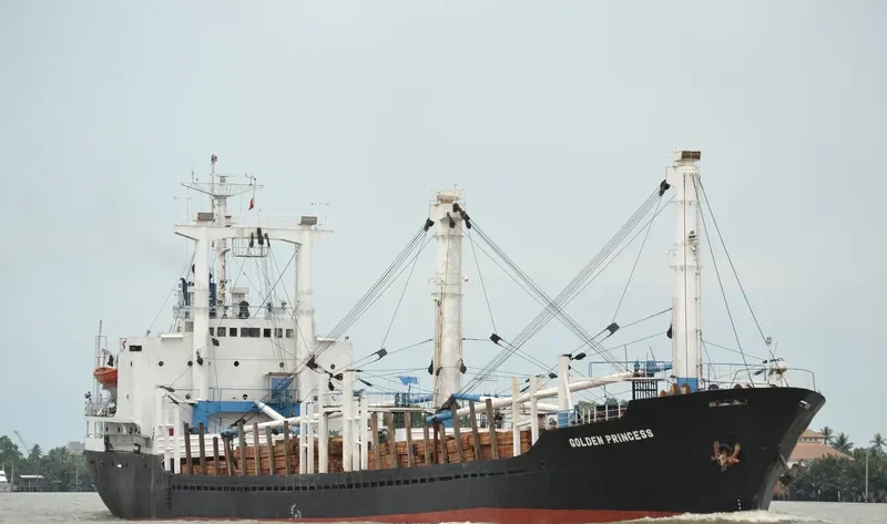 GOLDEN PRINCESS General Cargo IMO 7506077 photo 2
