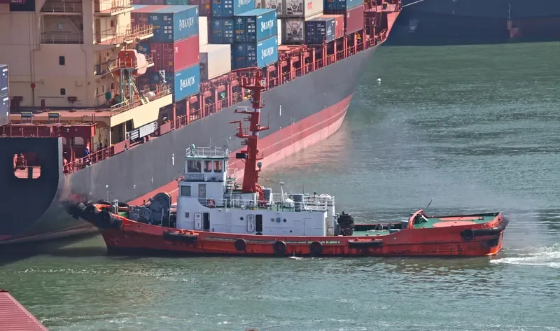 YONG DUCK General Cargo IMO 7506144 photo 8