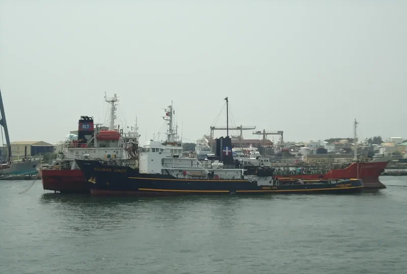 SALVAGE GIANT General Cargo IMO 7506417 photo 2