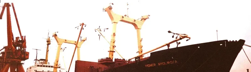 PIONER KHOLMSKA General Cargo IMO 7507112