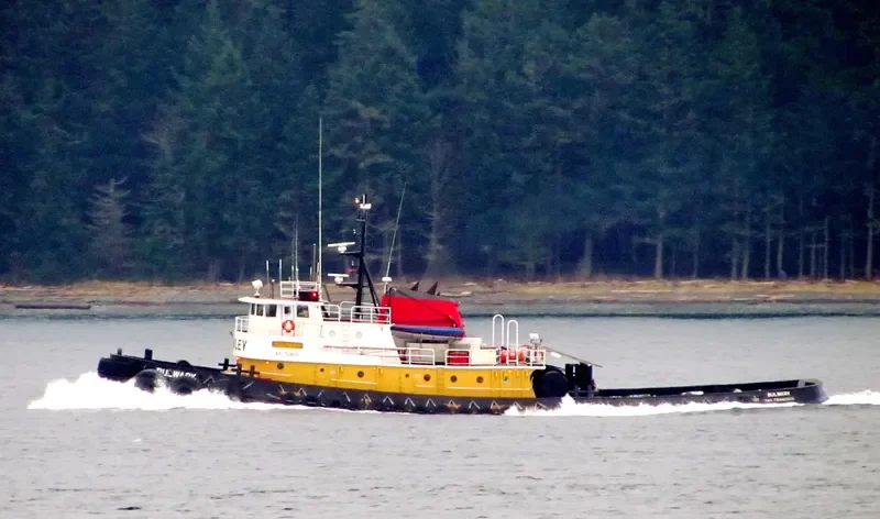 BULWARK General Cargo IMO 7507409 photo 2