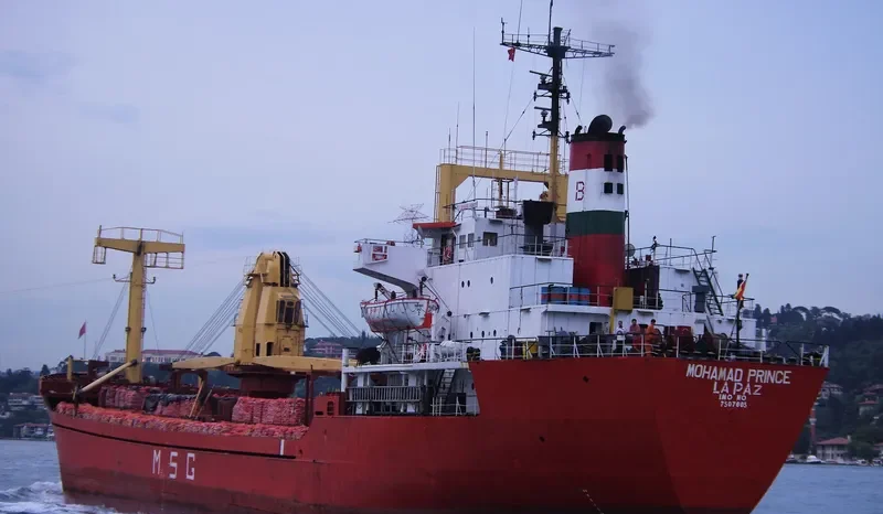 MOHAMAD PRINCE General Cargo IMO 7507605