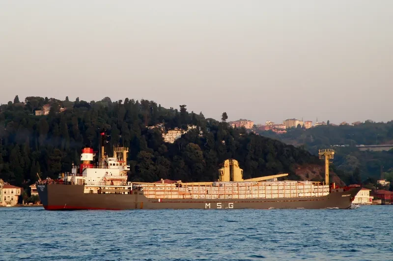 MOHAMAD PRINCE General Cargo IMO 7507605 photo 2