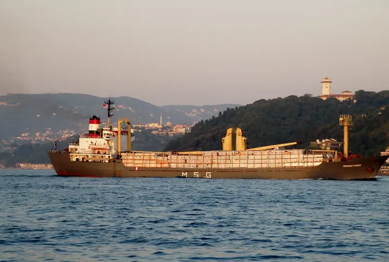 MOHAMAD PRINCE General Cargo IMO 7507605 photo 3