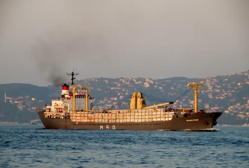 MOHAMAD PRINCE General Cargo IMO 7507605 photo 4