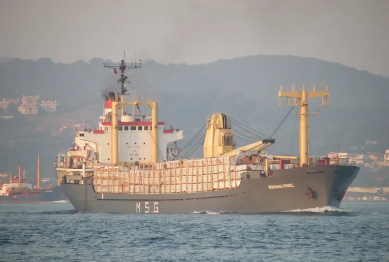 MOHAMAD PRINCE General Cargo IMO 7507605 photo 5
