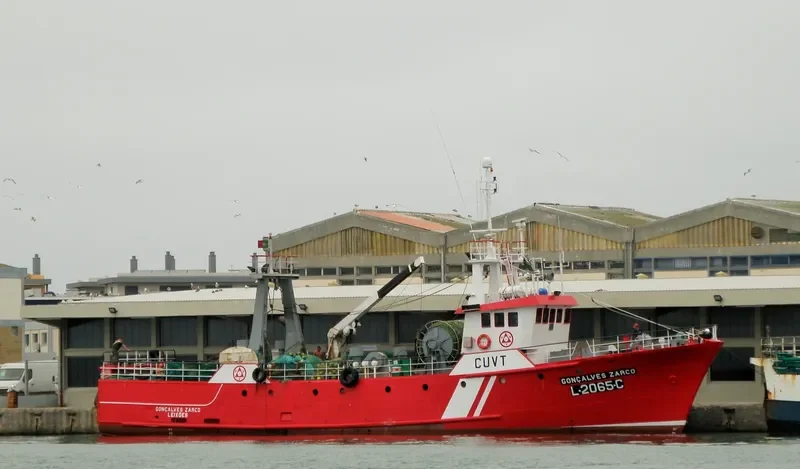 GONCALVES ZARCO General Cargo IMO 7507722