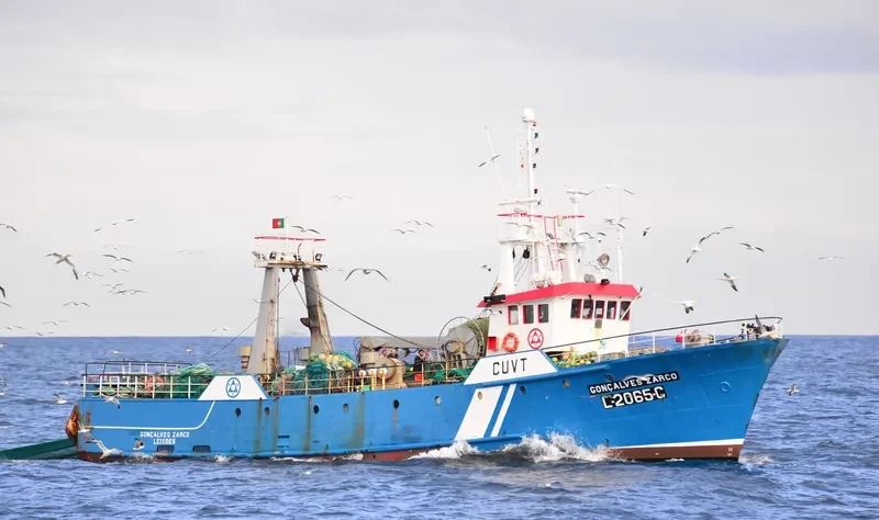 GONCALVES ZARCO General Cargo IMO 7507722 photo 10