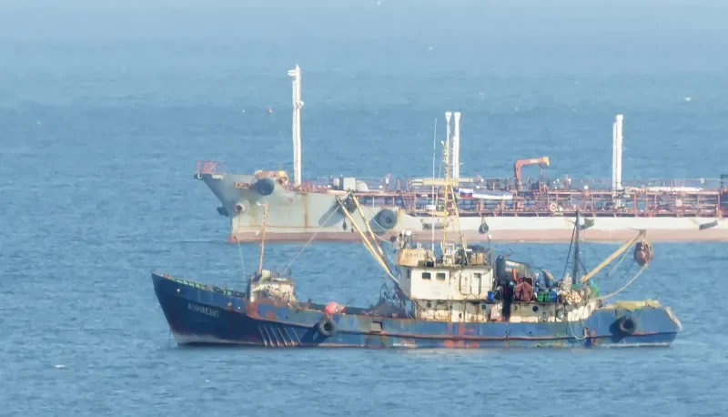 DUNAEVO General Cargo IMO 7507825