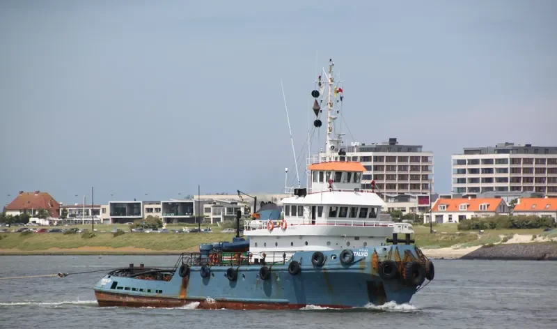 MONTALVO General Cargo IMO 7508037 photo 7