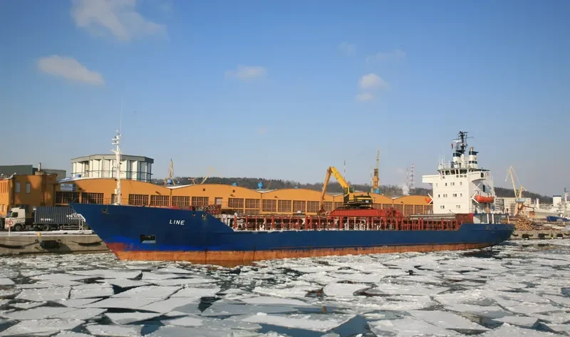 LINE General Cargo IMO 7508271 photo 6