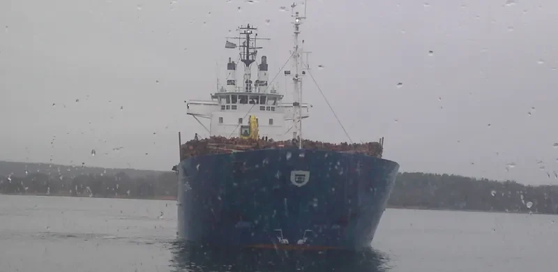 LINE General Cargo IMO 7508271 photo 8