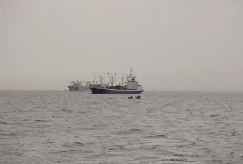 FRIO GASPAR General Cargo IMO 7508348 photo 3