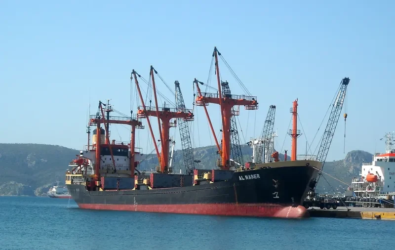 AL NASER General Cargo IMO 7508752 photo 7