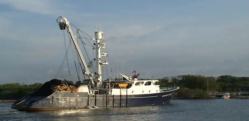 AMERICAN EAGLE General Cargo IMO 7508910 photo 6