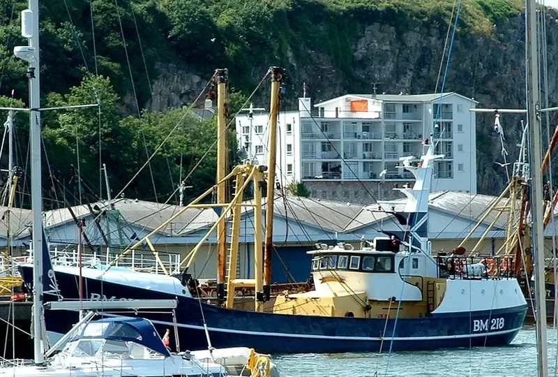 ANN MARIE Fishing Vessel IMO 7508960 photo 3