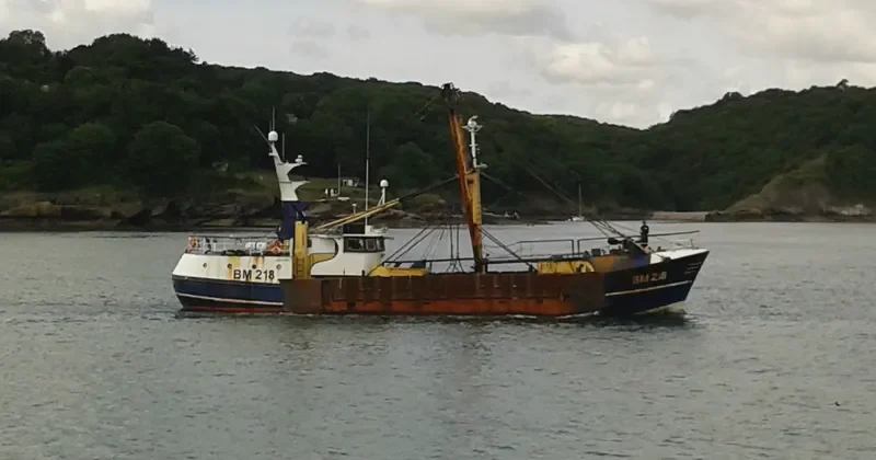 ANN MARIE Fishing Vessel IMO 7508960 photo 5