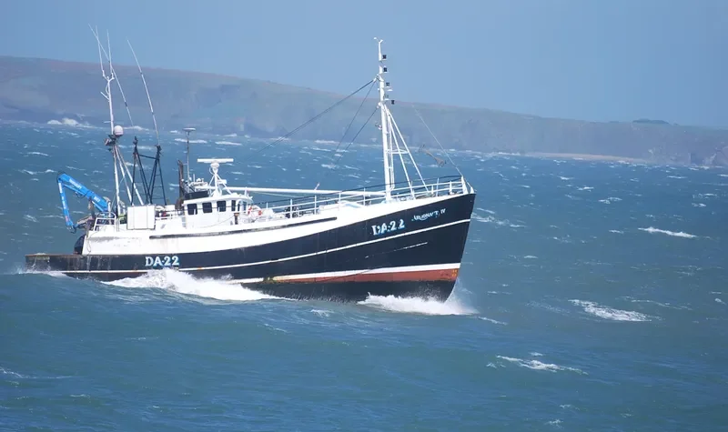 ARGONAUT IV Fishing Vessel IMO 7510262 photo 4